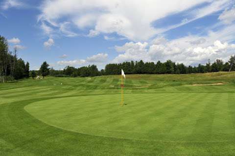 Homestead At Wolf Ridge Golf Course and Driving Range